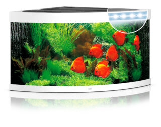 Akvaarium Trigon LED 350 L valge