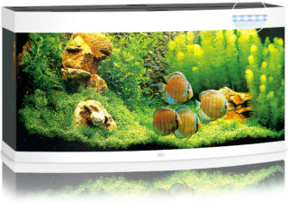 Akvaarium Vision LED 260 L valge
