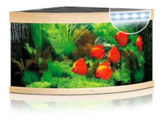 Akvaarium Trigon LED 350 L hele puit