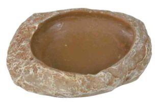 Kauss terraariumisse 6x1.5x4.5cm