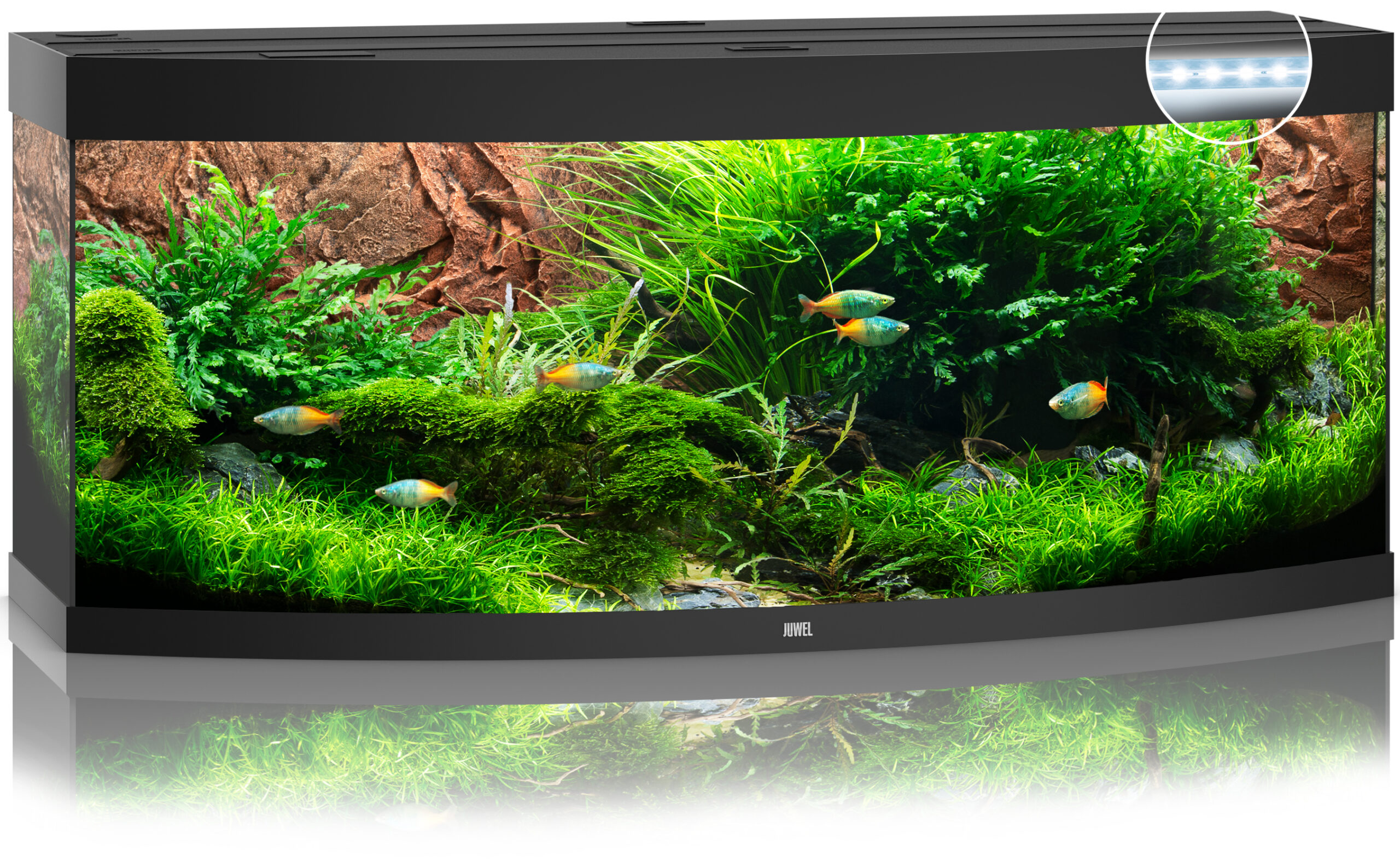 Akvaarium Vision LED 450 L must