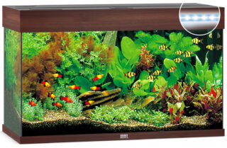 Akvaarium Rio LED 125 L tume puit