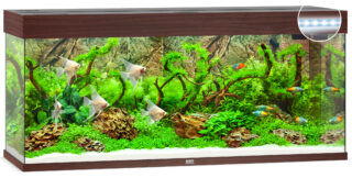 Akvaarium Rio LED 240 L tume puit