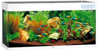 Akvaarium Rio LED 240 L valge