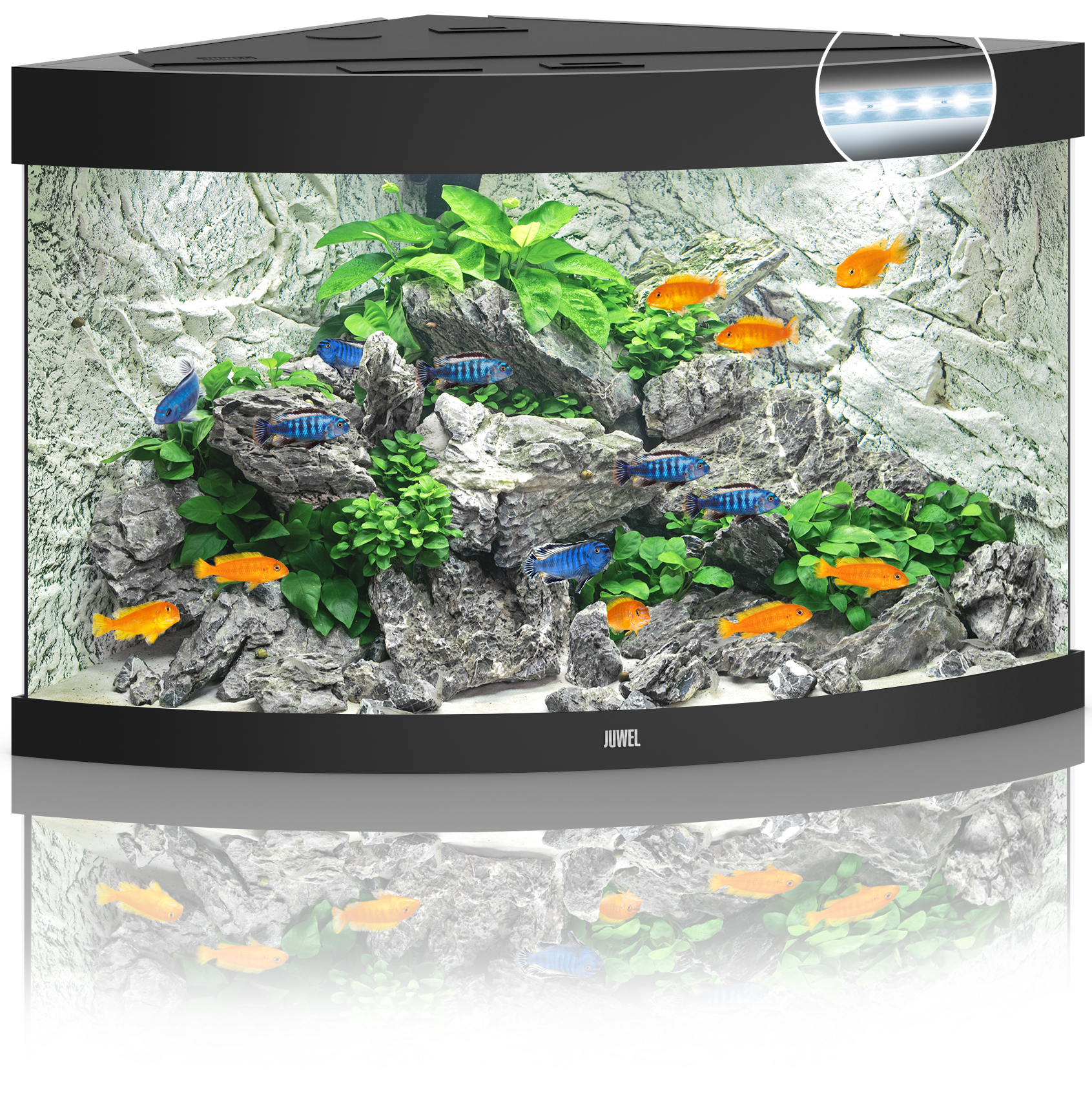 Akvaarium Trigon LED 190 L must