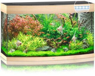 Akvaarium Vision LED 180 L hele puit