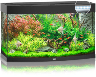Akvaarium Vision LED 180 L must