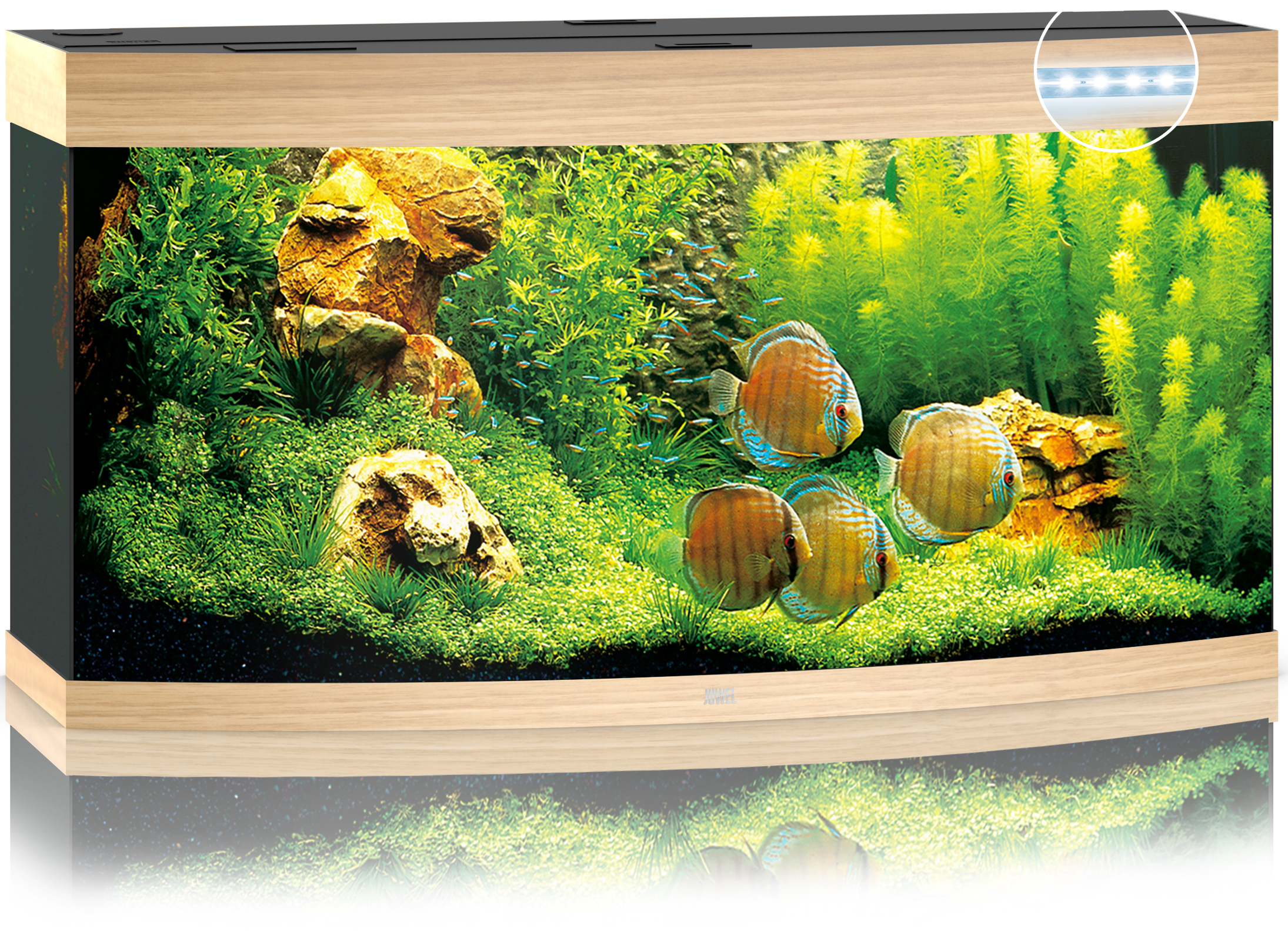 Akvaarium Vision LED 260 L hele puit