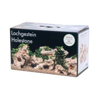 Akvaariumi dekoor Mitme auguga kivi 60L