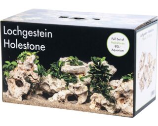 Akvaariumi dekoor Mitme auguga kivi 80L