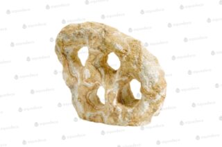 Akvaariumi Kivi 4-auk S 116