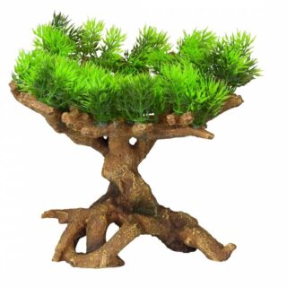 Akvaariumi dekoor Florascape 11 M 22x19x23,5cm