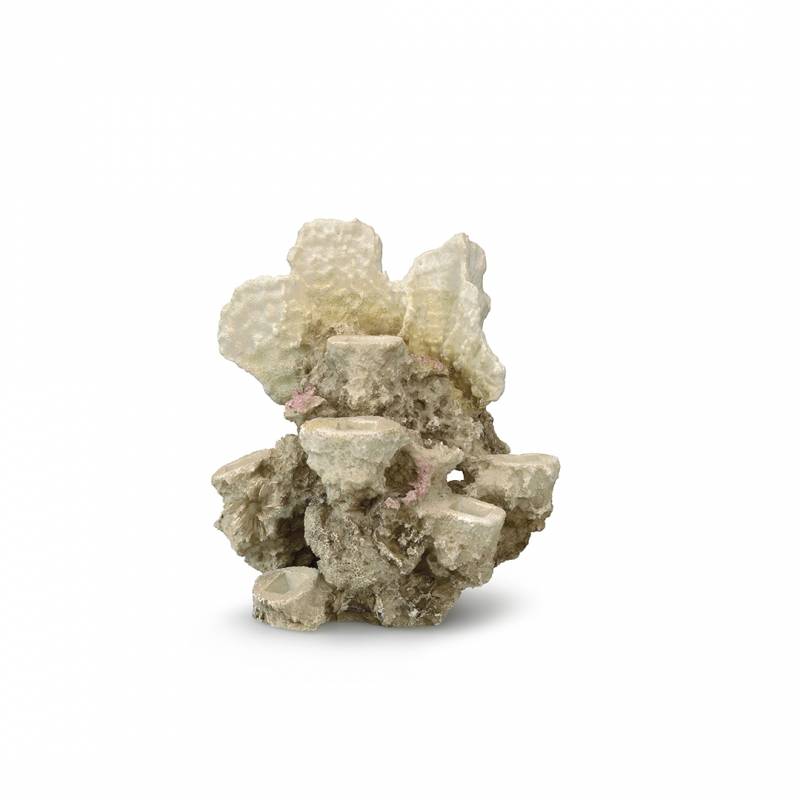 Akvaariumi dekoor Korallrahu ML 21x18x31cm