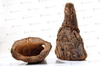 Terraariumi kaunistus Söödamägi M 15cm