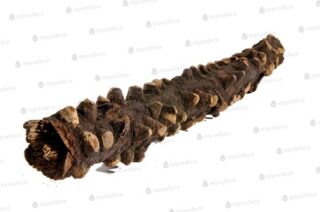 Terraarium kaunistus Silmad Puit 20-30cm