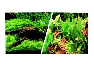 ***Akvaariumi dekoor A-1715 30cm.