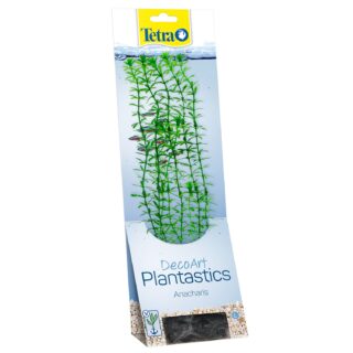 Plastist taim Tetra Anacharis,L