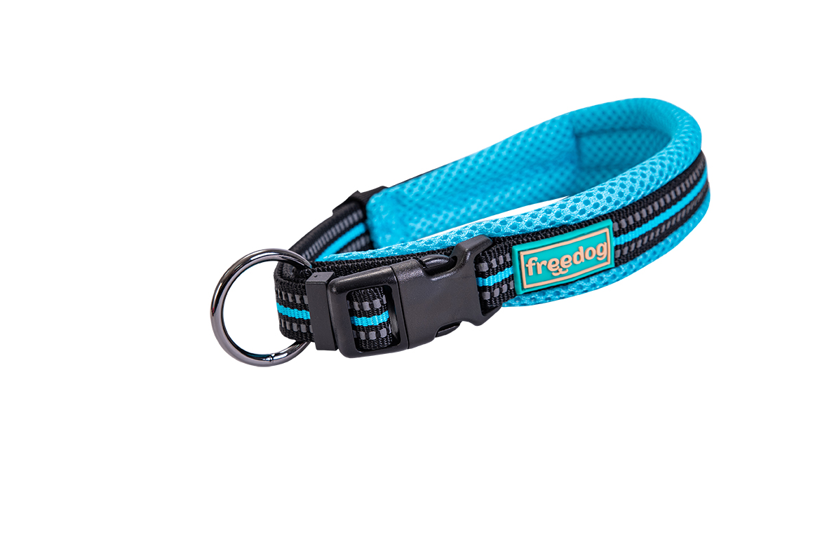 Freedog Soft-Sport türkiissinine nailonist kaelarihm 20mm x 35/60cm
