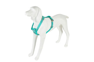 Freedog Saferide türkiissinised turvatraksid koerale S 20mm x 32/50cm