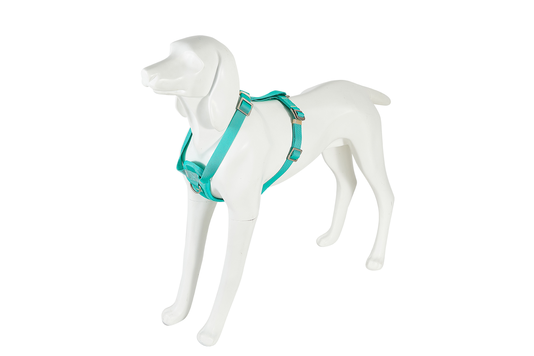 Freedog Saferide türkiissinised turvatraksid koerale M 25mm x 43/58cm