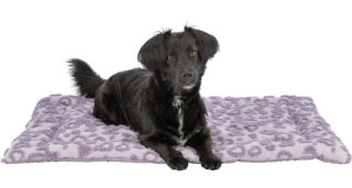 Magamiskoht Valentine, 90 x 70 cm