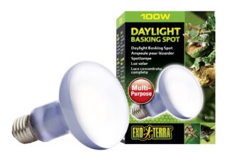 Terraariumi lamp Daylight Basking Spot R25 100W PT2133