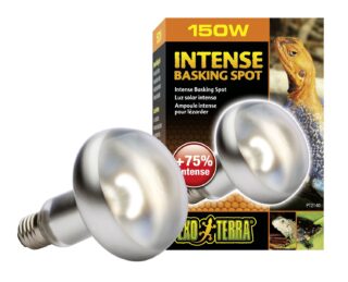 Terraariumi lamp Intense Basking Spot S30 150W PT2140