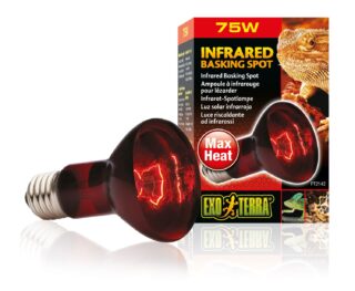 Terraariumi lamp Infrared Basking Spot R20 75W PT2142