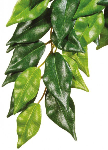 Terraariumi dekoor EXO-TERRA Siiditaim Suur Ficus