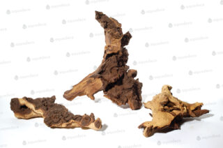 Akvaariumi triivpuu Mopani S 10-20cm