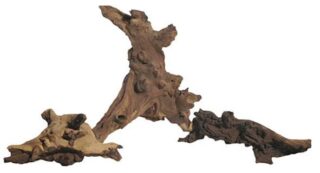 Akvaariumi triivpuu Mopani M 15-50cm