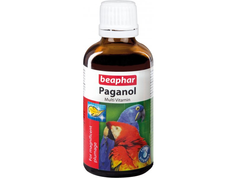 BE-Paganol Multivitamin 50ml