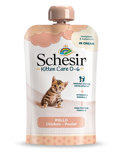 Schesir Kitten Care 0-6 kanaliha kassipoegadele Kreem 150g