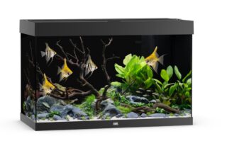 Akvaarium Rio LED 290 L must