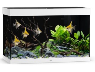 Akvaarium Rio LED 290 L valge