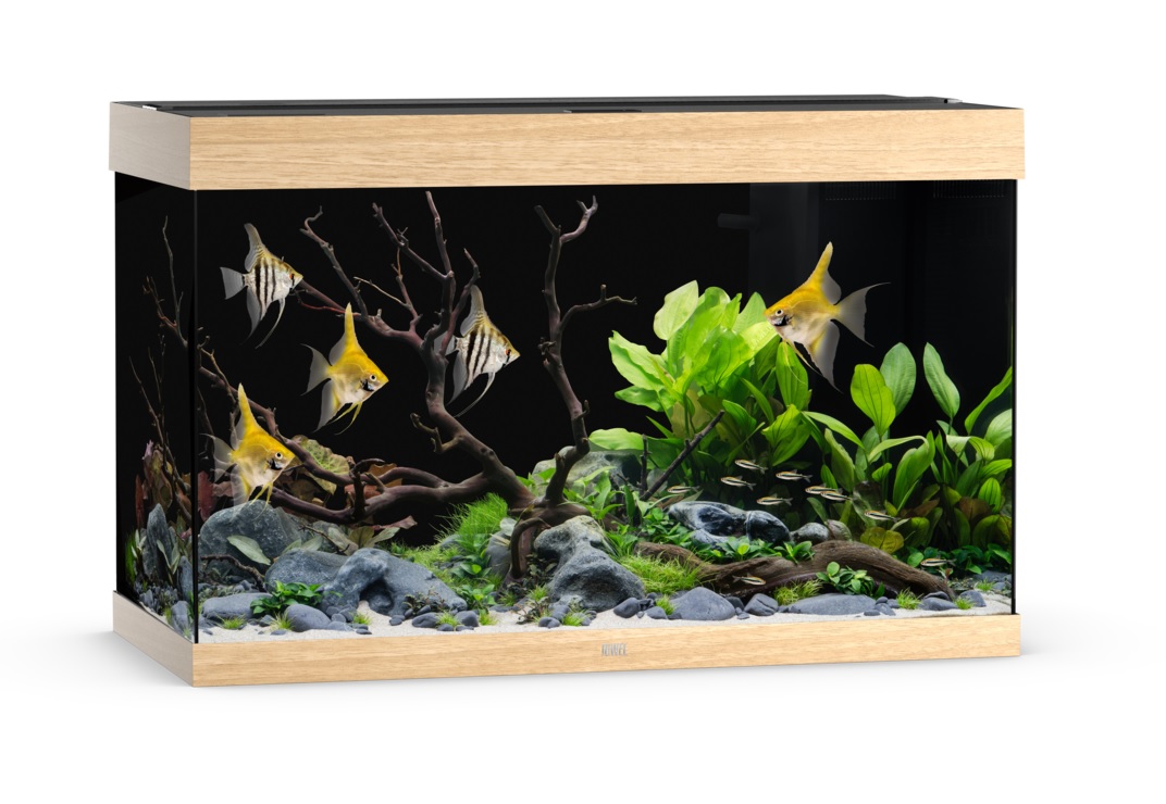 Akvaarium Rio LED 290 L hele puit