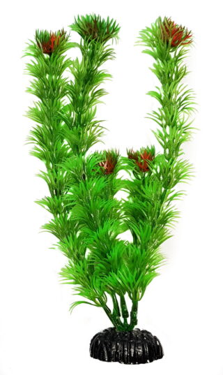 Plastist taim M001 30cm