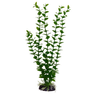 Plastist taim M017 30cm