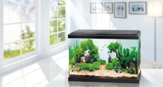 Akvaarium WONDER PALACE WP80 75,7L 614x322x422mm