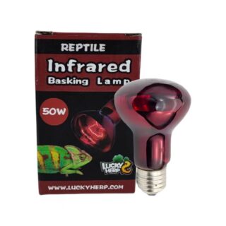 Terraariumi lamp Lucky Herp Basking Infrared R63 50W