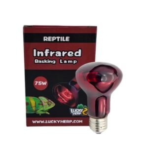 Terraariumi lamp Lucky Herp Basking Infrared R80 75W