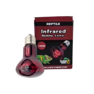 Terraariumi lamp Lucky Herp Basking Infrared R80 100W
