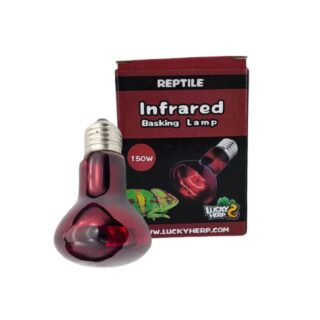 Terraariumi lamp Lucky Herp Basking Infrared R95 150W