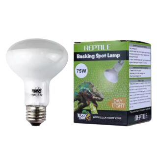 Terraariumi lamp Lucky Herp Basking Spot Day Light R80 75W