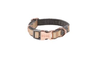 Kaelarihm Rogz Urban XS 16-22cm, Gold Rush