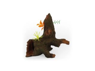 Akvaariumi dekor Uppunud puu 21.5x20.5x21.5cm