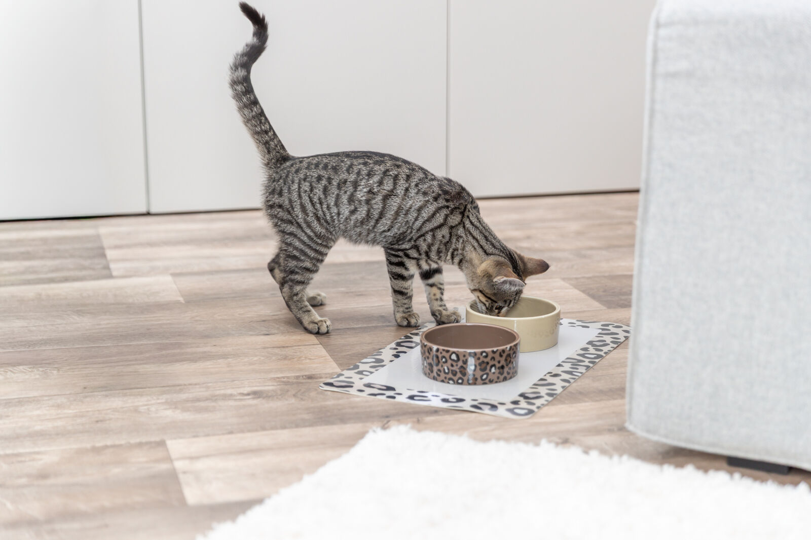 Keraamiline kauss Leo 300ml ø12 cm