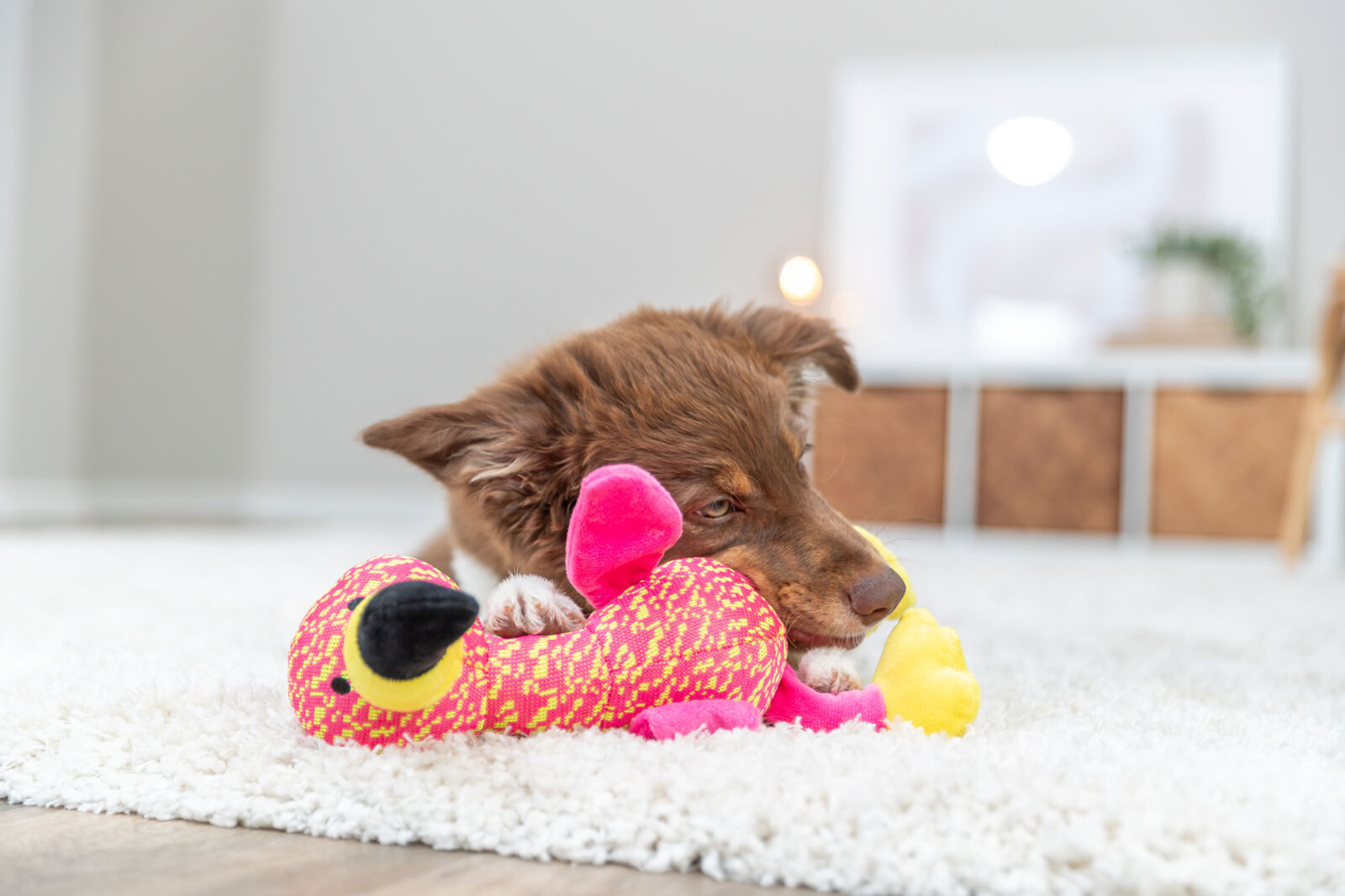 Mänguasi koertele Flamingo, kangas, 32 cm, roosa