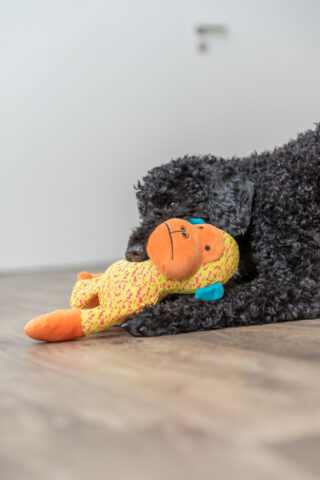 Mänguasi koertele Ahv, kangas, 27 cm, kollane