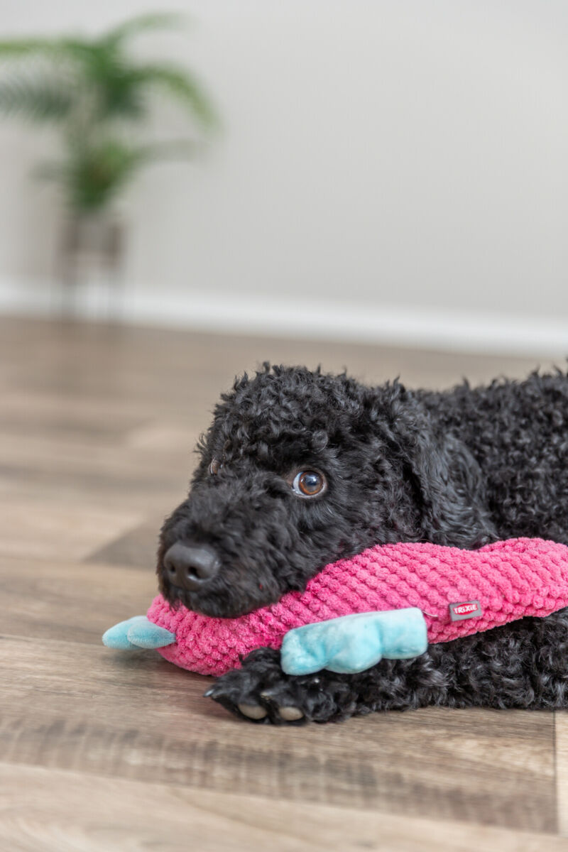 Mänguasi koertele Merihobuke, 28 cm, roosa